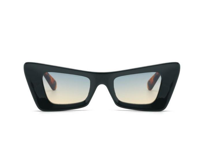 Sunglasses: Style 1858