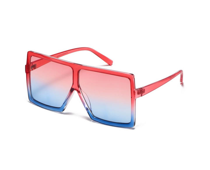 Sunglasses: Style 1669